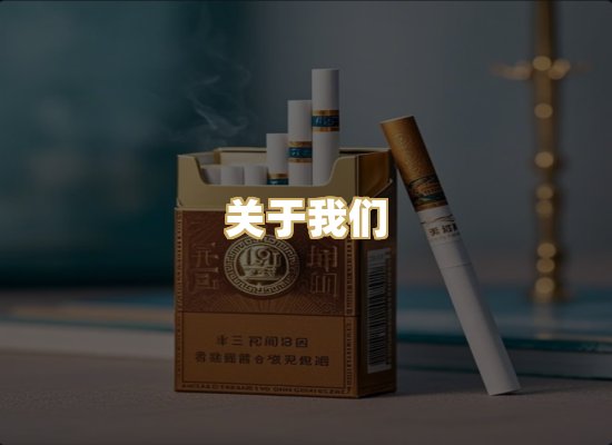 关于我们